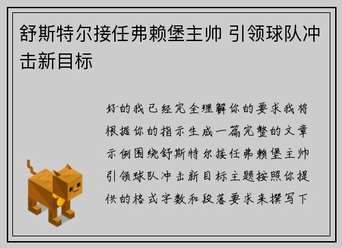 舒斯特尔接任弗赖堡主帅 引领球队冲击新目标